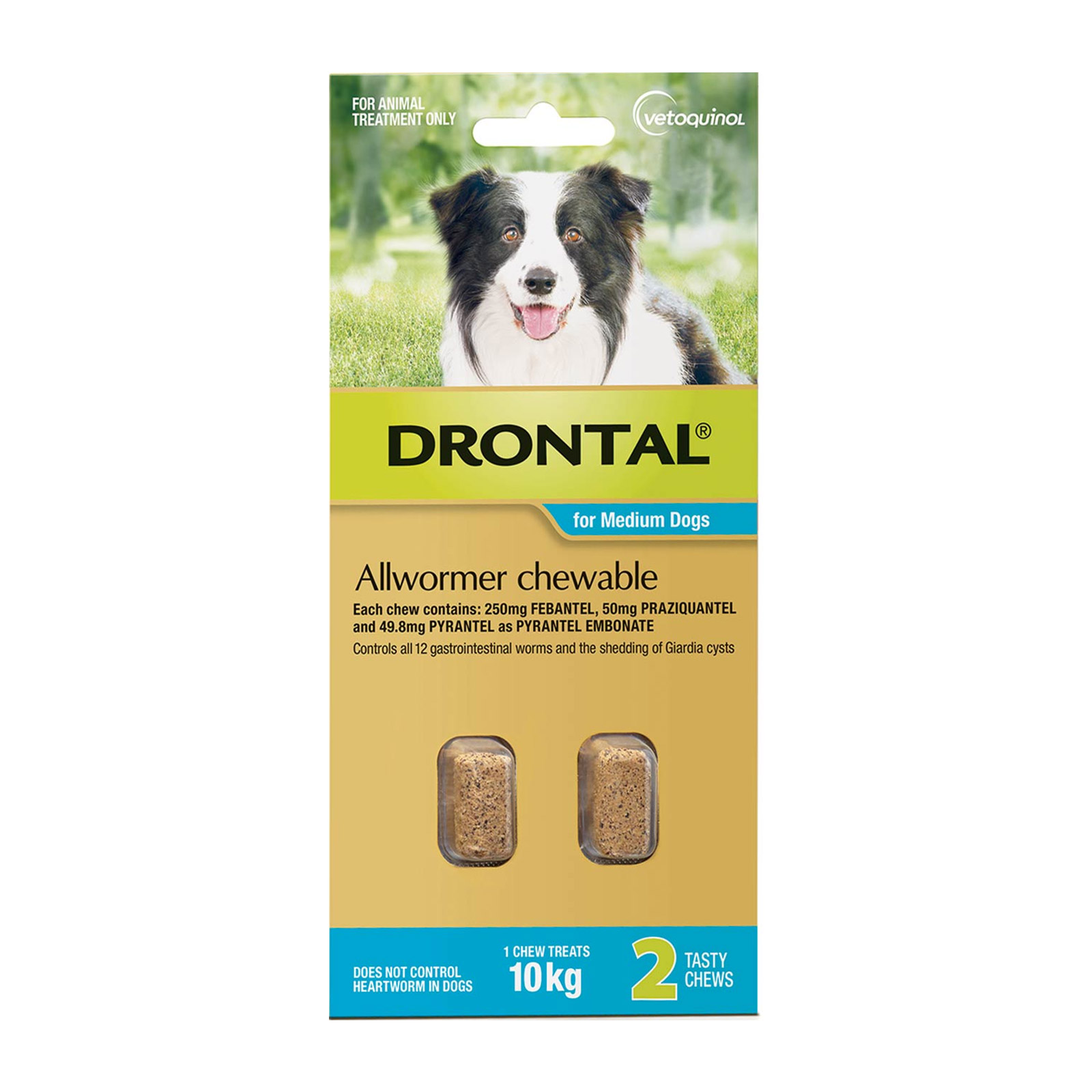 Buy Drontal Wormers Dogs Wormers Chewable For Dogs Up To 10kg (Aqua