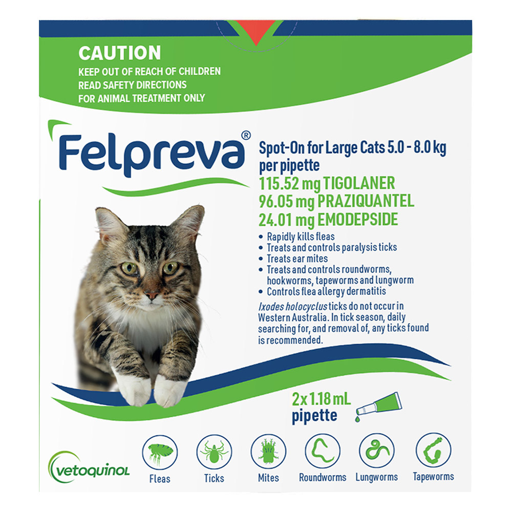 Buy Felpreva Spot-On For Large Cats 5 To 8kg - Free Shipping