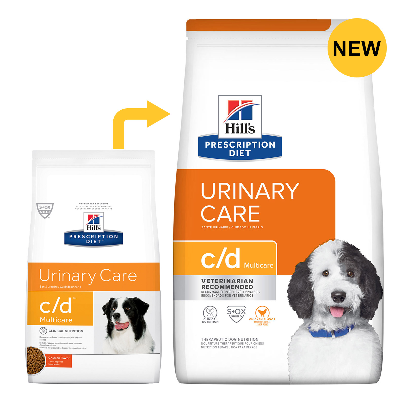 Hill's science diet urinary 2025 care cd for dogs