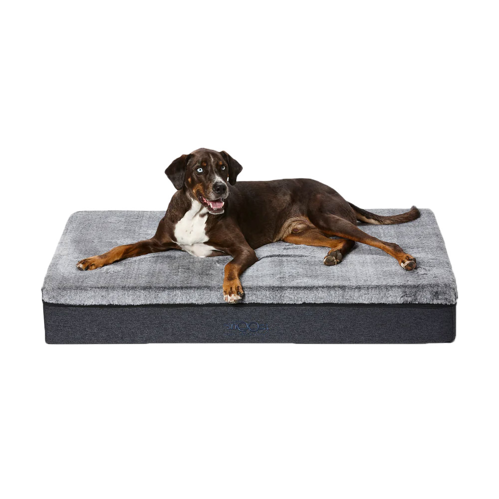 Buy Snooza Big Bed for Dogs Online at