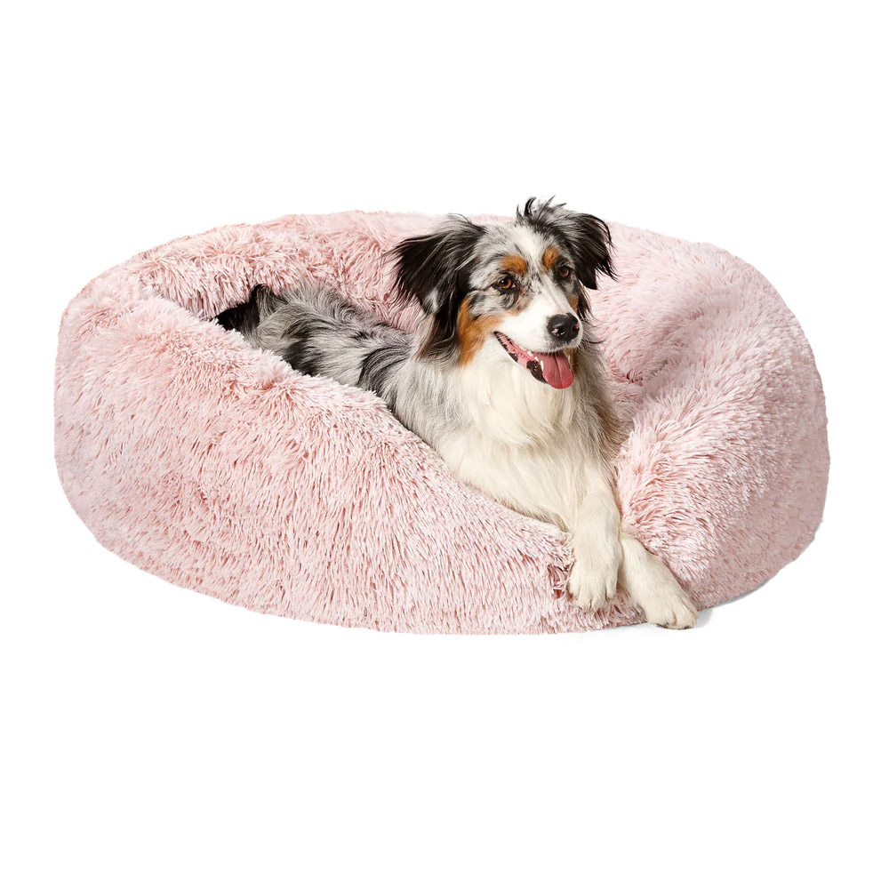 Buy Snooza Calming Cuddler Bed For Dogs Bliss Free Shipping