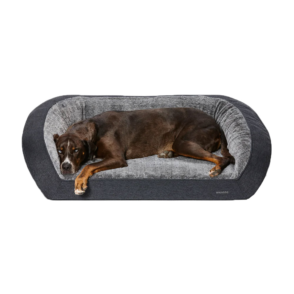 Buy Snooza Ortho Sofa For Dogs Chinchilla Free Shipping