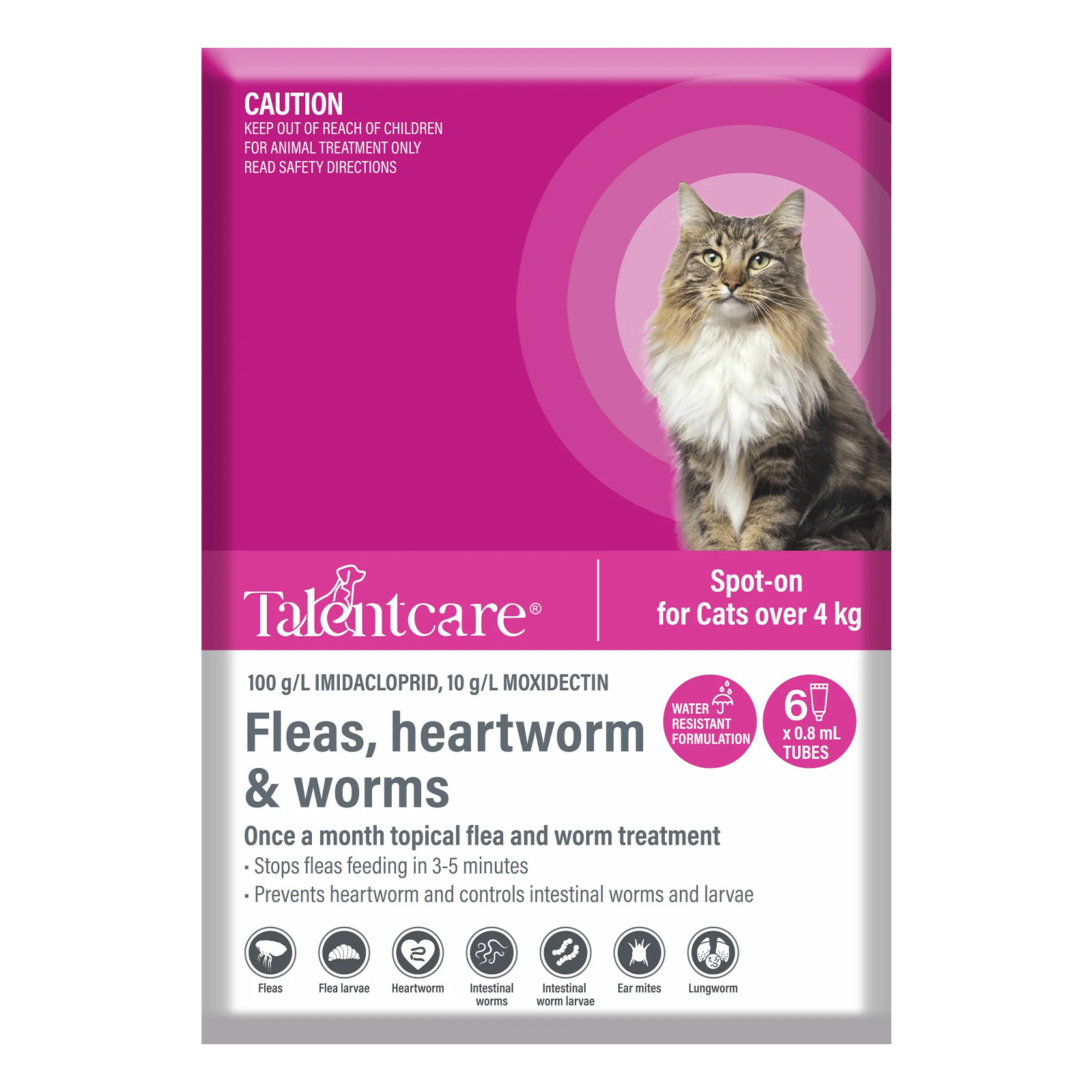 Buy Talentcare Spot On Cat Flea & Worm Treatment For Cats Over 4kg ...