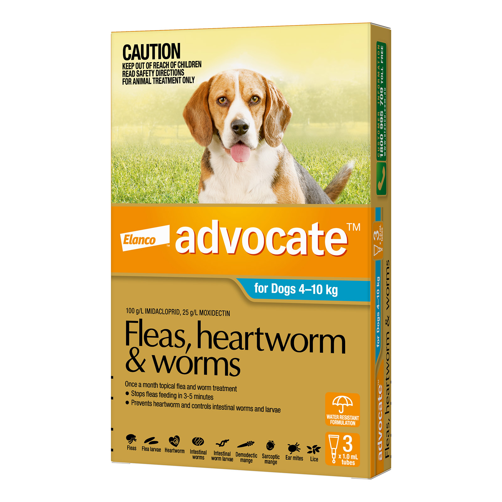 Buy Advocate For Medium Dogs 4 To 10kg Aqua Free Shipping