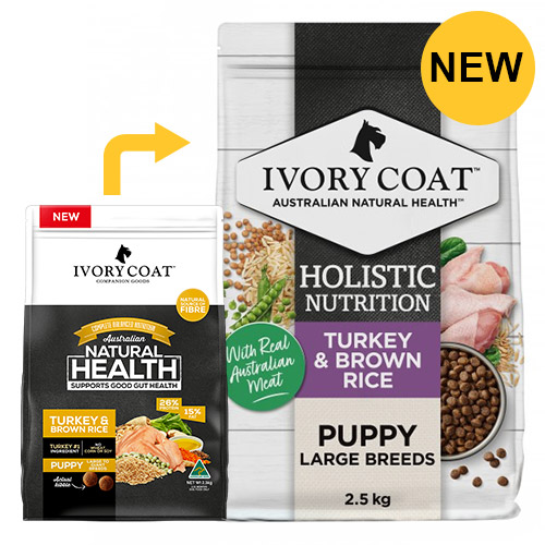 Ivory coat outlet dry dog food