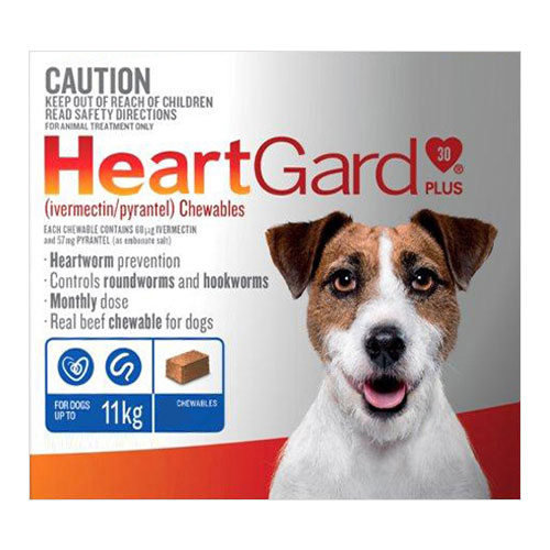 Heartgard Plus Chewables for Dogs Heartgard Plus For Dogs Australia