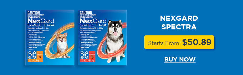 Nexgard Spectra for Dog