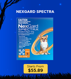 Nexgard Spectra for Dog