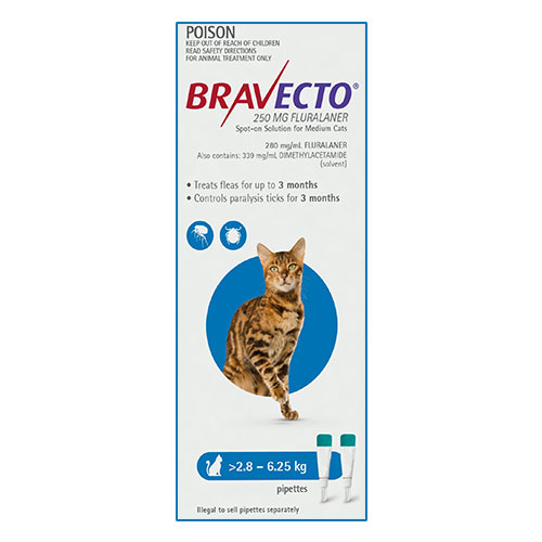 Buy Bravecto Spot On for Cats Online at lowest Price in ...